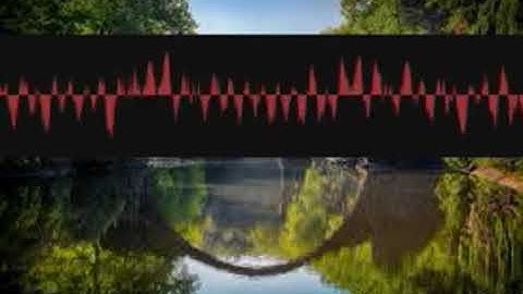 Featuringpropaganda Dynamics qwcbetkhej