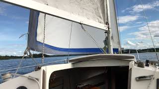 Fixed Sail Jam On My Jaguar 21