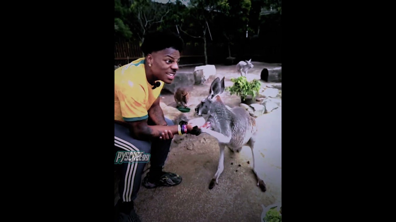 Use this sound💀🦘