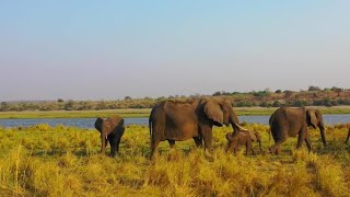 Botswana and Victoria Falls, Zimbabwe in 4K UHD ( S'khanyisele (feat. Sir Bless))