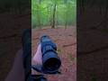 Forest Bear Encounter🌲 Goes Crazy😱#Bear🌲 #Wildlife #BearAttack🌎 #Wild🐗Encounter🎯 #Nature #Outdoor😱UK