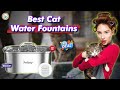 What's The BEST Cat Water Fountain For Your Feline Friend