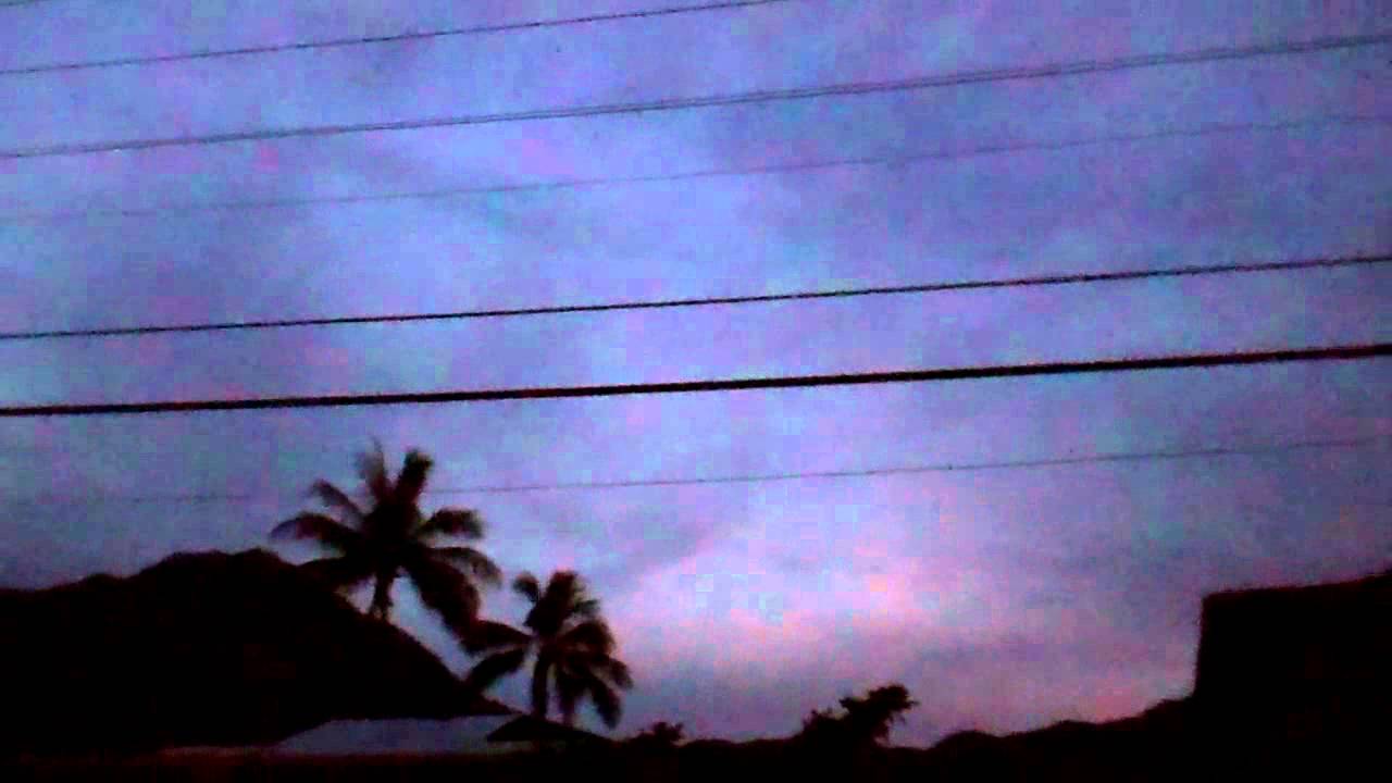 Double Palm Trees