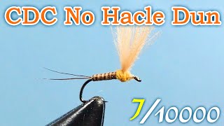 Cdc No Hacle Dun 710000A Man Attempting To Tie 10,000 Kinds Of Flies.