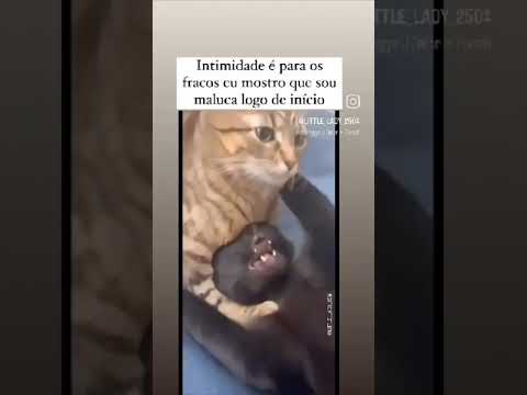 Intimidade😻😽