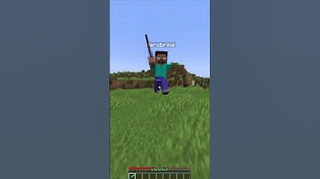 Minecraft Herobrine 1v1
