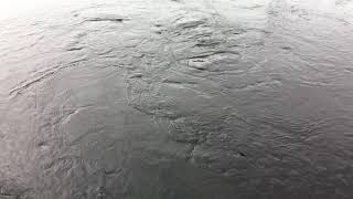 Whirlpools forming and dispersing in a stream (slow motion)