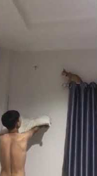 cat vs dragonfly - #shorts #youtubeshorts #reels #tiktok #trending #viral