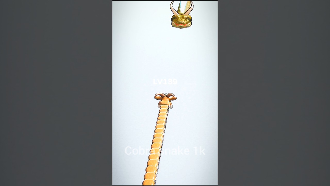 🐉 OMG 😱 Snake Clash VS Snake Hero 🐍 New Record Gameplay! 