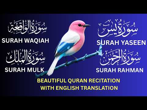 Surah Yasin | Surah Rahman | Surah Mulk | Surah Waqiah | Beautiful Quran Recitation♥️♥️