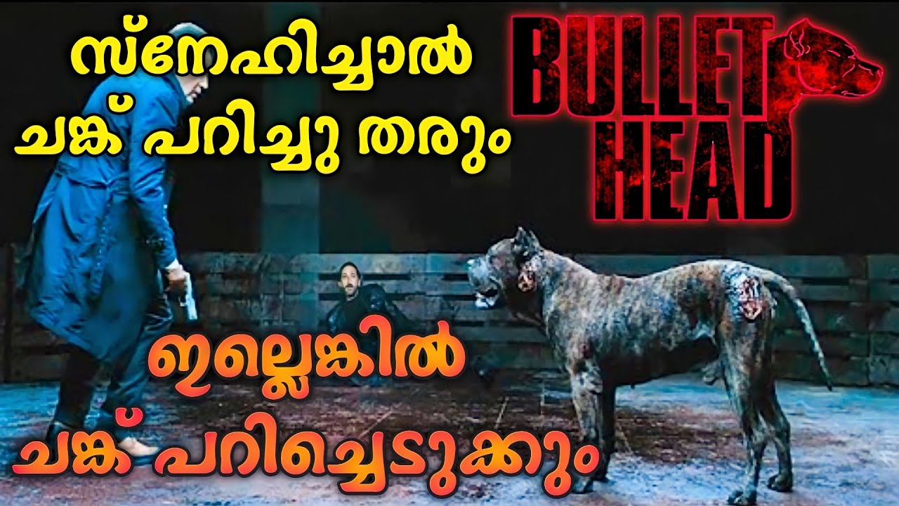 പട്ടിയുണ്ട് സൂക്ഷിക്കുക 😫 Bullet Head Movie Explained In Malayalam Thriller YouTube