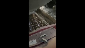 International IH 1086 Putting up Soybeans In the Grain Bin