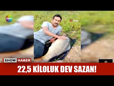 22,5 kiloluk dev sazan!