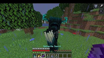 Melee Warden kill, potion of the turtle master