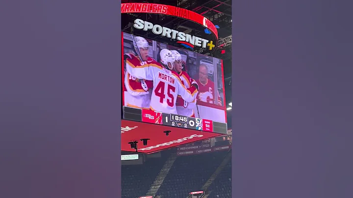 Calgary Wranglers goal