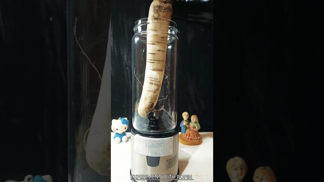 👉Radish vs mini blender ☺️😊 