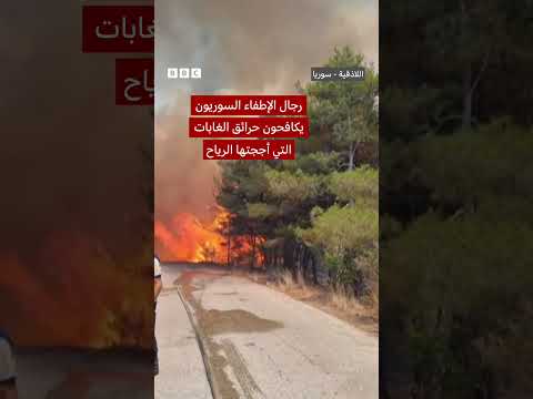 حرائق اللاذقية في سوريا: جهود إطفاء الغابات
