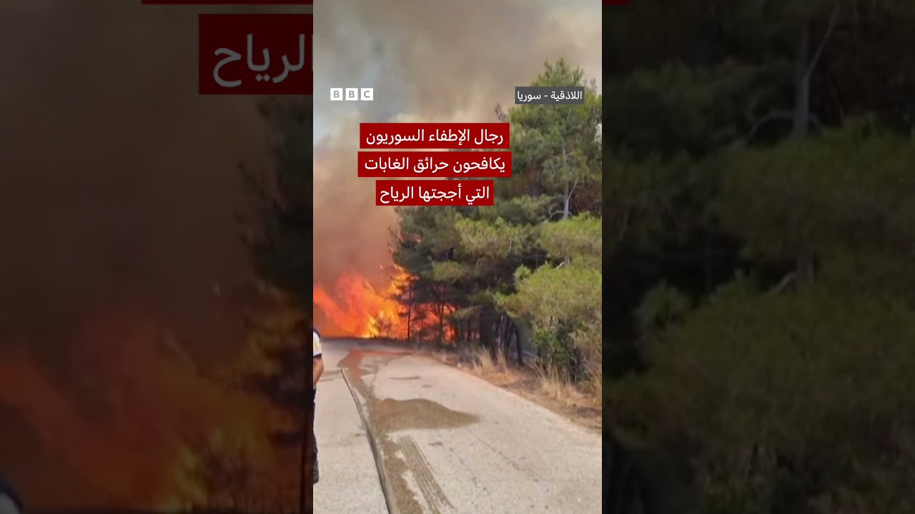 حرائق سوريا: رجال الإطفاء السوريون يكافحون حرائق الغابات في اللاذقية
