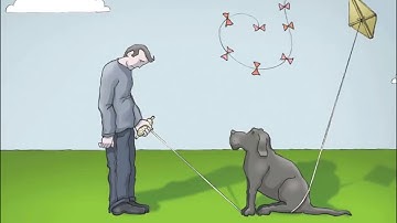 Metacognitive Training – (8/Additional Module I) Mood/Self-Esteem, I had a black dog (English)