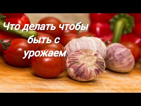 СОЗДАНИЕ ПЛОДОРОДИЯ и иммунитета у растений Самый СОВРЕМЕННЫЙ МЕТОД №409/24