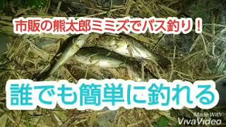 釣具店の市販のミミズ【熊太郎】でバスを釣る方法　くじら池で実践  Black bass fishing with earth worms