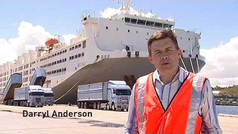 Livestock Transport: Take a ship tour onboard MV Becrux