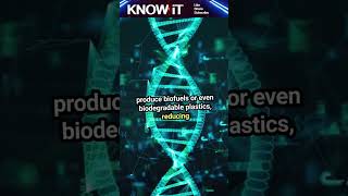10 Exciting Facts About Biomolecular Engineering | KNOW iT