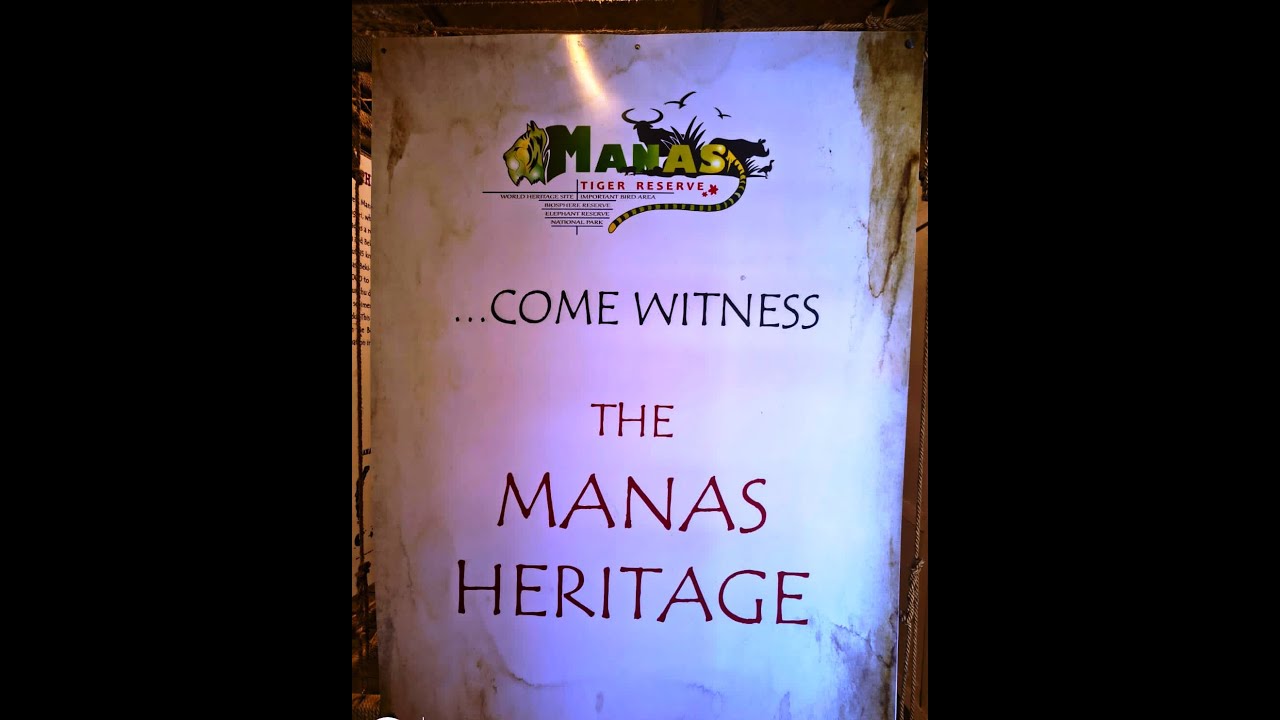 Jeep Safari inside Manas National Park