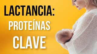 🍼IMPORTANCE OF BREASTFEEDING👶🏼[Nutrition in the first 1000 days] - Dr. Mar Begara