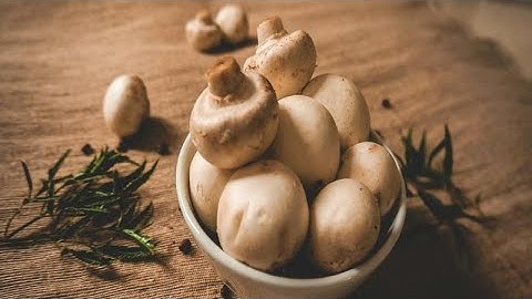 LancsCAN Lunch & Learn - Food - 27/11/2025