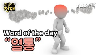 Under a lot of pressure 😡 "열통" | Word of the day