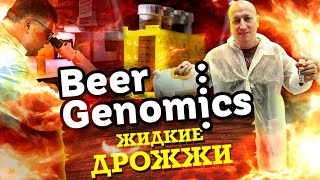 Как делают ЖИДКИЕ дрожжи в России. Дрожжевая лаборатория BeerGenomics