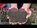 La vie du sol - Autonomie et permaculture avec David