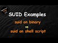 Linux SUID Examples | Why does SUID not work with Shell Scripts | SUID Vulnerability