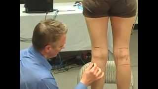 Master Tung's Bleeding For Back Pain -- Online Acupuncture CEU