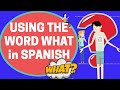 Using the word WHAT in SPANISH