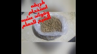 طريقه استخدام وفوائد عشبه الشيح للحمام وطرق استخدامه المتعدده والمهمه للحمام