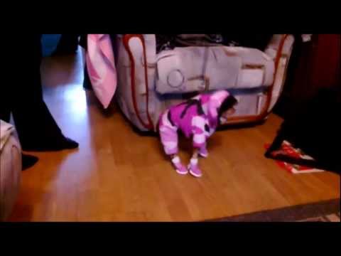 Video: Kuhu jätta oma lemmikloom eemaloleku ajal