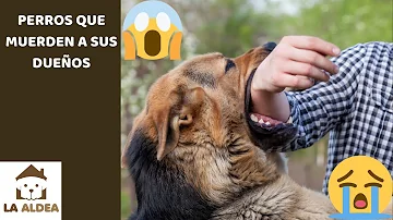 ¿Muerden los perros para proteger a sus dueños?