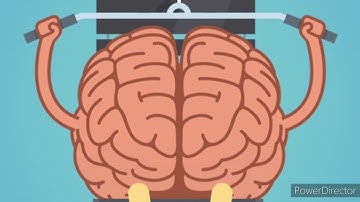 how does human brain store and retrieve memories?lmb