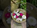 ТОВАРИЩ ПРИ ДЕНЬГАХ :) ...
