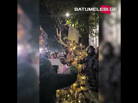 მთავრობის სახლთან მიიტანეს ნაძვის ხე საპროტესტო აქციებზე ნაცემი ხალხის ფოტოებით