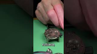Thumbnail for Great Starter Movement