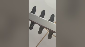 Máy cắt hàng rào chạy bằng pin | Công suất 1800W | Cắt cây cảnh