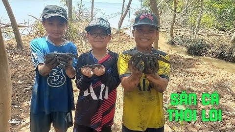 Một ngày Sinh Tồn  trong Rừng ngập mặn ...Săn loại Cá Thòi Lòi ở Cà Mau@danqueCaMau5005