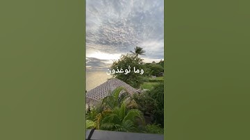 "وفي السماء رزقكم وما توعدون" | تلاوة تهز القلوب من سورة الذاريات 💛