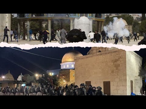 Video: Unde Este Moscheea Omar