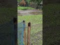 Okha Hananwi Gwila Jwngna Mwigonga Loss Jabai Khanagsigwoloswimwn 