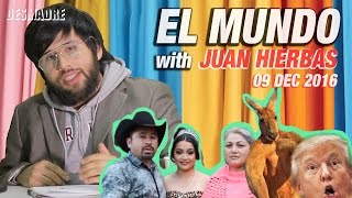 los xv de ruby trump tweets 2 hierbas a gangsta kangaroo krip on this week s elmundo