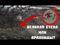 Выдержит ли Великая Стена нашествие Арахнидов? (Арахниды vs Великая Стена)